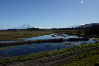 DSC_1051 (Large).JPG